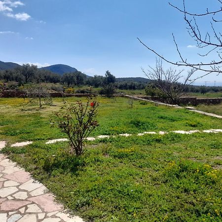 “Villa Othon-Leni” Παραλία Δαιμονιάς Εξωτερικό φωτογραφία