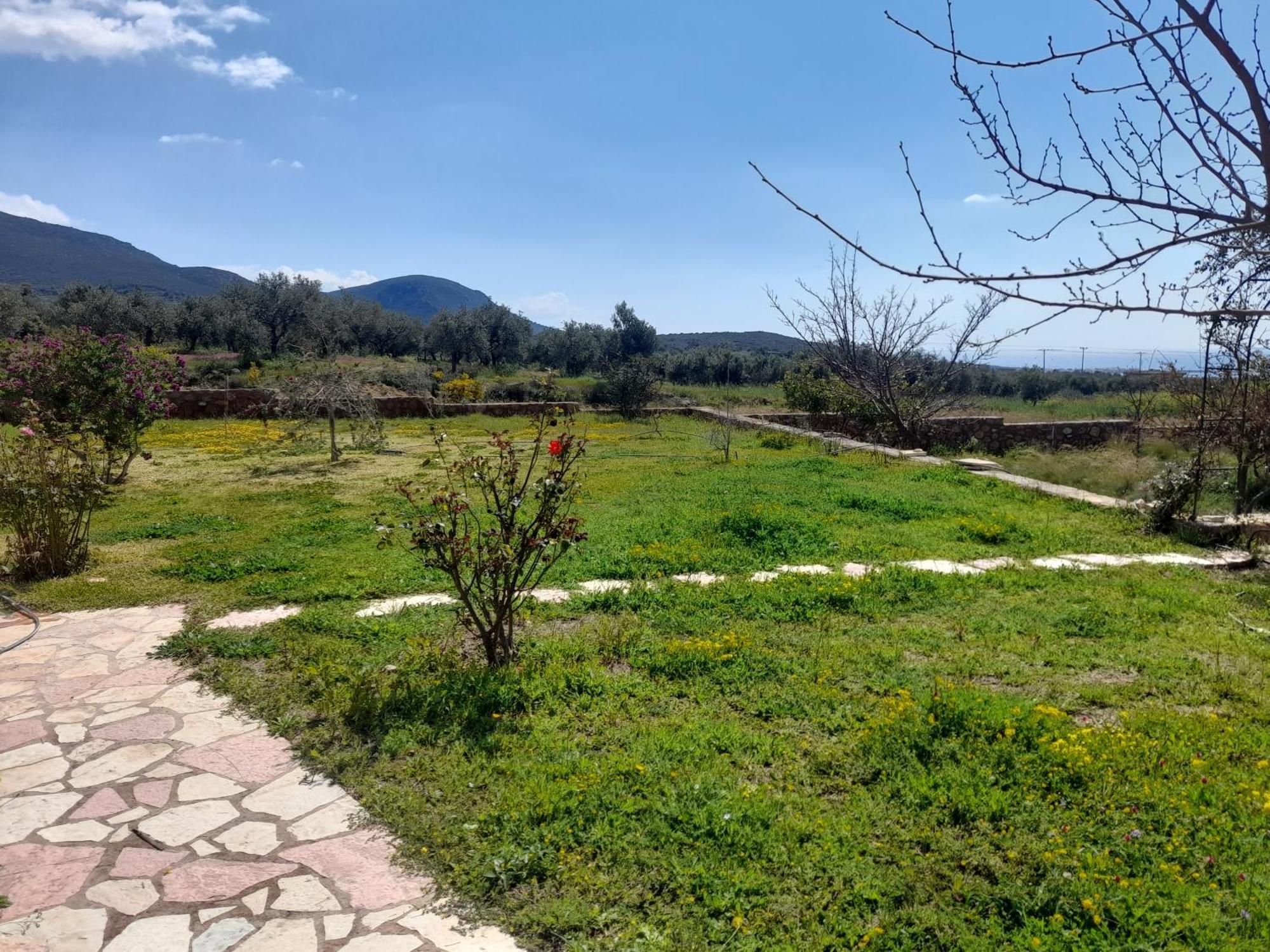 “Villa Othon-Leni” Παραλία Δαιμονιάς Εξωτερικό φωτογραφία
