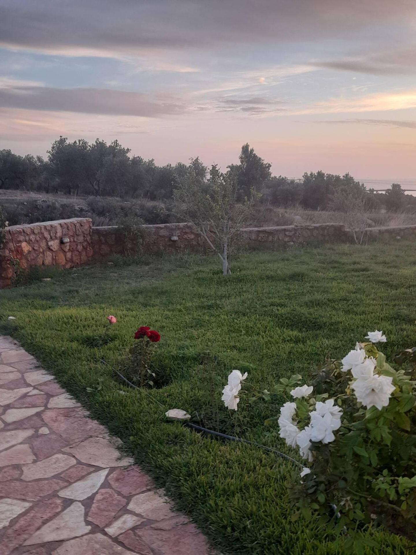 “Villa Othon-Leni” Παραλία Δαιμονιάς Εξωτερικό φωτογραφία