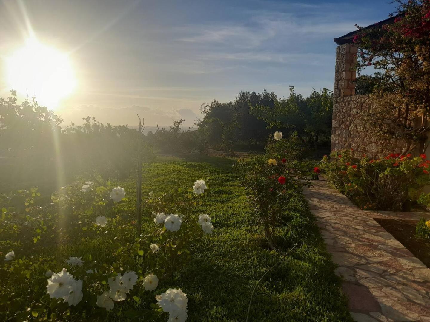 “Villa Othon-Leni” Παραλία Δαιμονιάς Εξωτερικό φωτογραφία